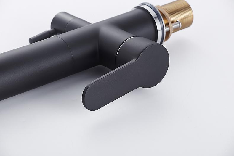 VICTOR Modern Black Double Tap Faucet
