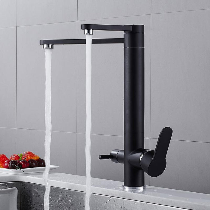 VICTOR Modern Black Double Tap Faucet