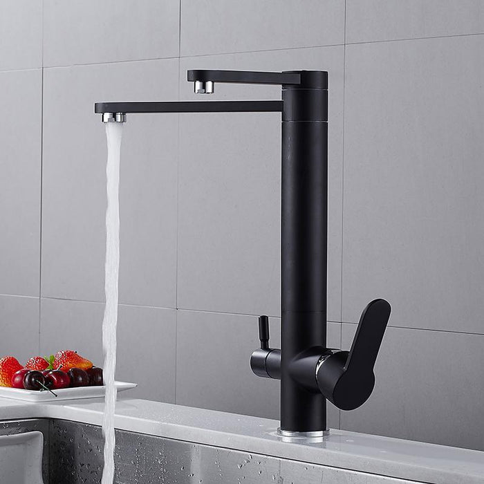 VICTOR Modern Black Double Tap Faucet