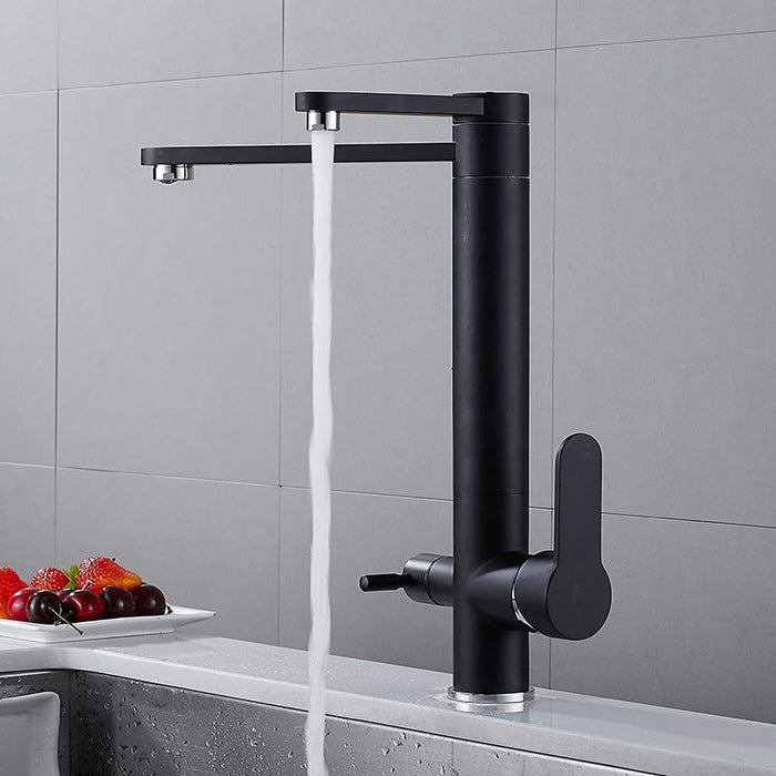 VICTOR Modern Black Double Tap Faucet