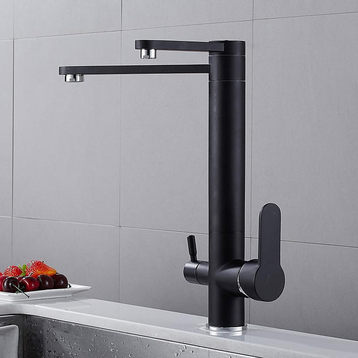 VICTOR Modern Black Double Tap Faucet