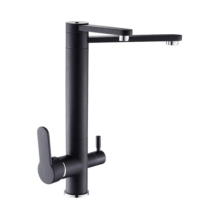VICTOR Modern Black Double Tap Faucet