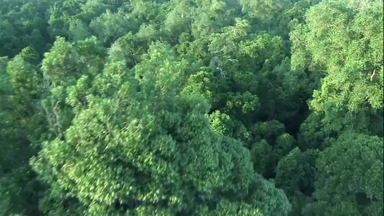 IAN Dining Table Live Edge Slab Modern Minimalist Design Nordic